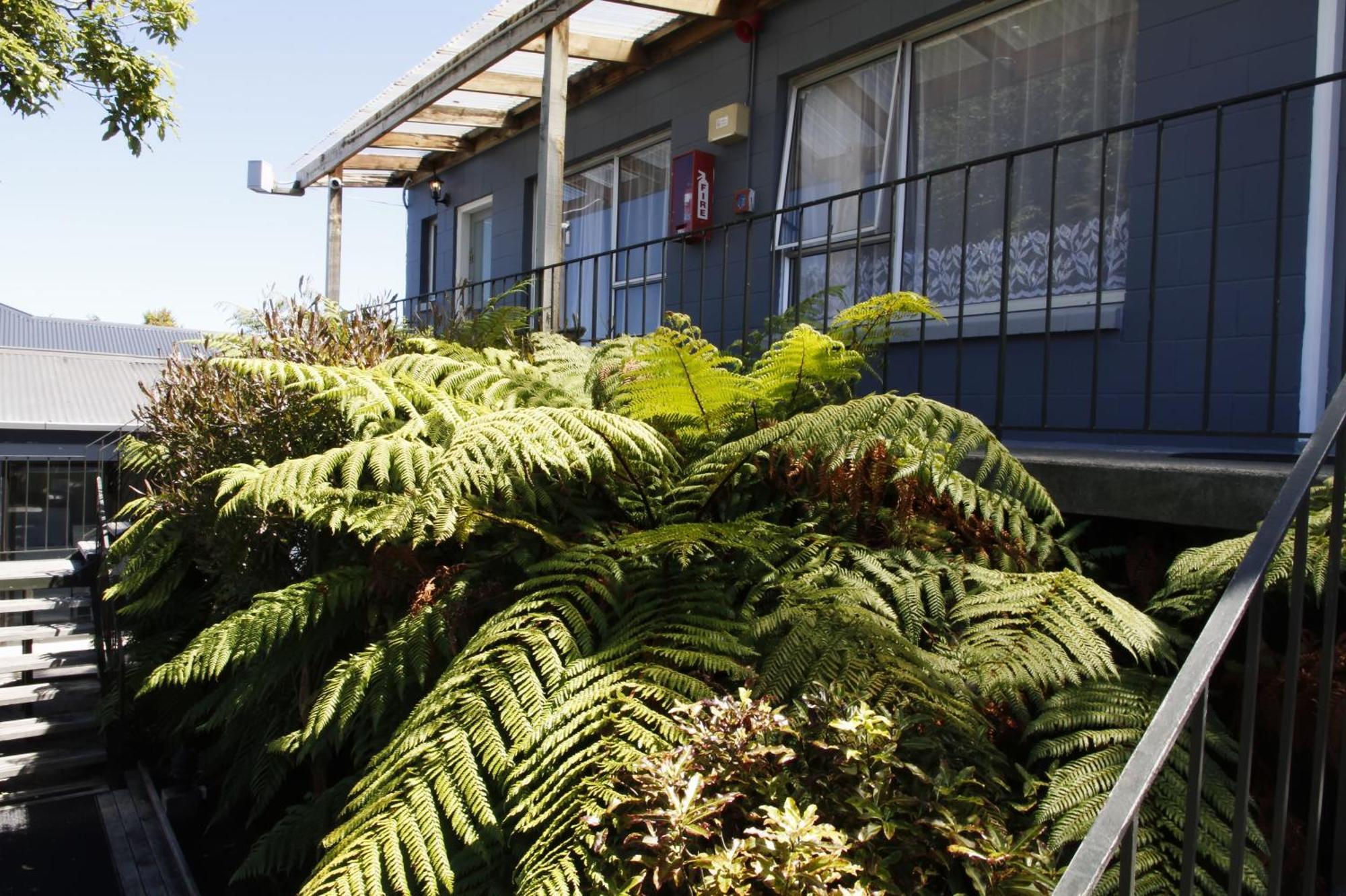 Cranford Cottages And Motel Christchurch Dış mekan fotoğraf